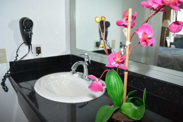 Sunset Motel image 28