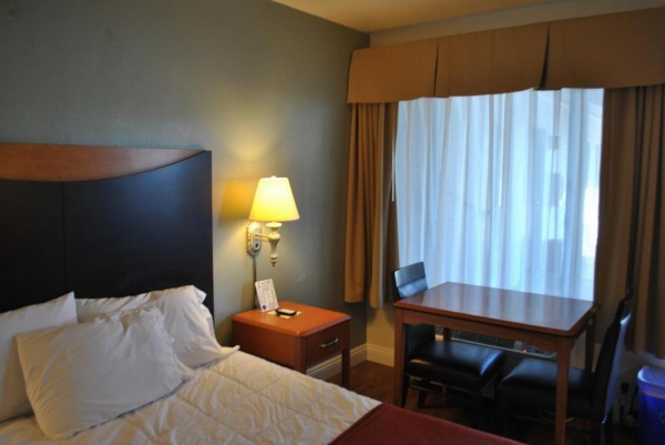 Sunset Motel image 60